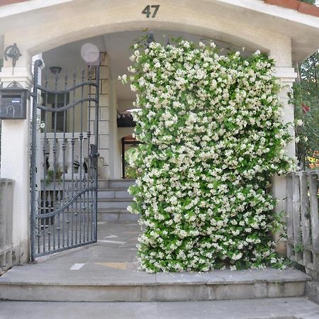 Apartmaji Stamcar إيزولا المظهر الخارجي الصورة